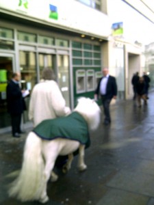 There's a pony. On the Strand.