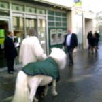 Err, Pony on the Strand. PONY ON THE STRAND. 