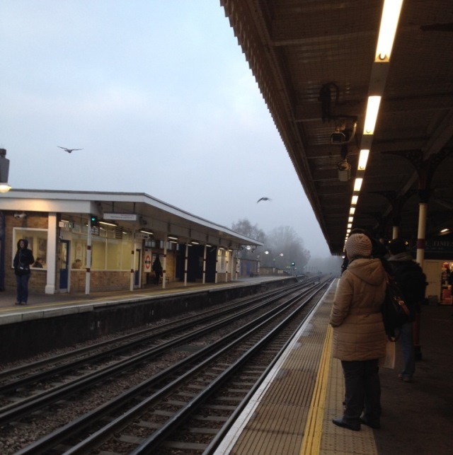 Birds fly overhead. Fog envelopes the track. There are no trains.