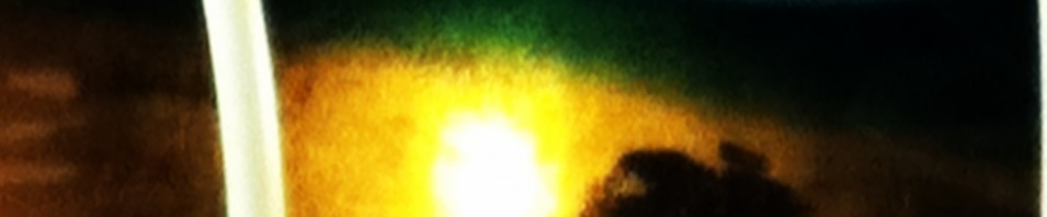 Err, I Think the Buses are Laughing at Dalston