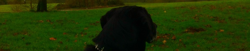 Questions People Ask When you Blog About London