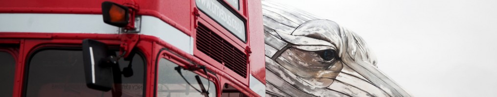 What’s That? Oh, Just a Polar Bear Next to a London Bus.