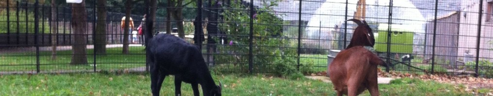 London Life Survival: A Hungover Sunday in Dalston